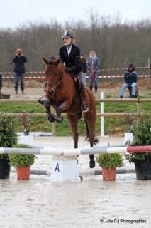 Clemence et Qeol sont 26eme/37 avec 56% (club 2 )