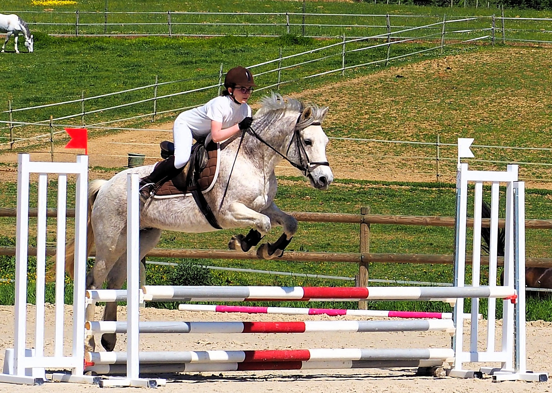 Bénédicte et Boy en club 3 (80 cm)