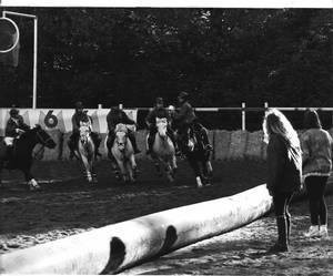 Calypso, lors d'une compétition de horse ball (tout à droite)