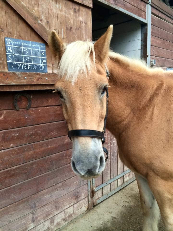 Photo d'Océane Raveleau, son adoptante