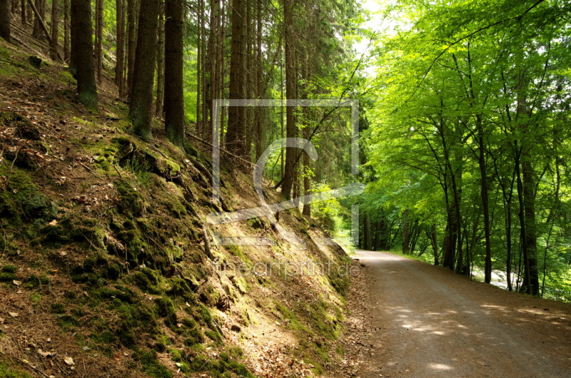 Wohin der Weg auch führt, ich wandere ihn.