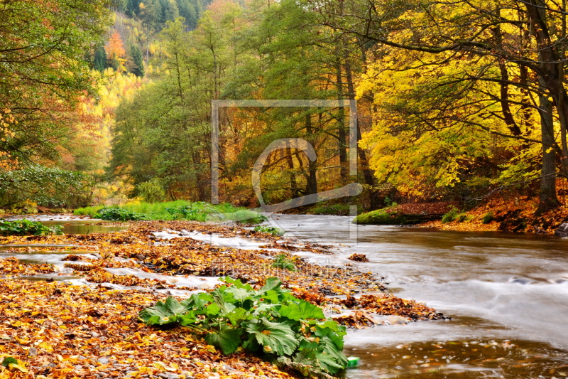 Herbstlich