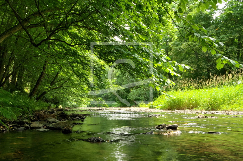 Sommer am Fluss