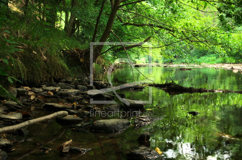 Sommer am Fluss