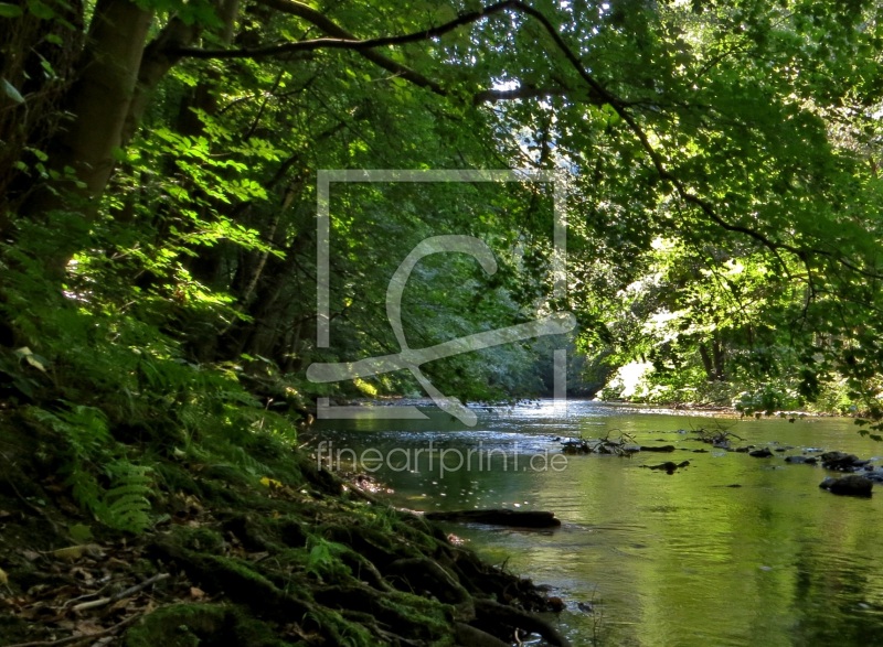 Am Fluß