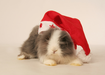 Foto: reiseananas / fotolia
