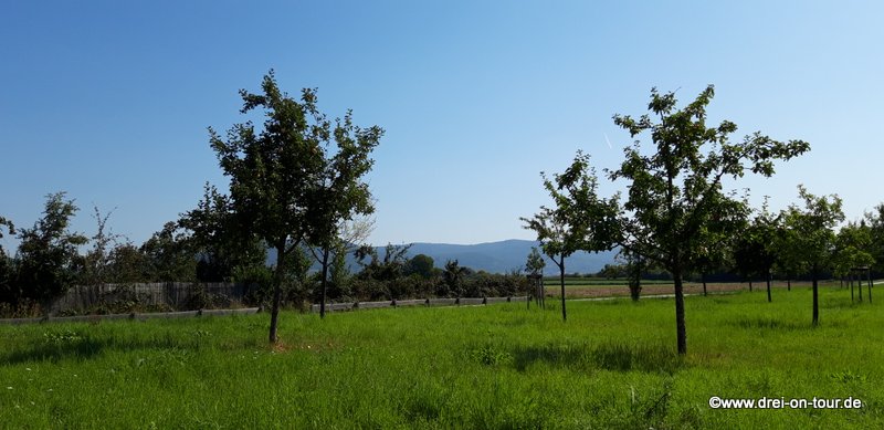 mit einem schönen Blick auf den Odenwald