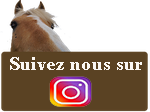 suivez nous instagram kalin