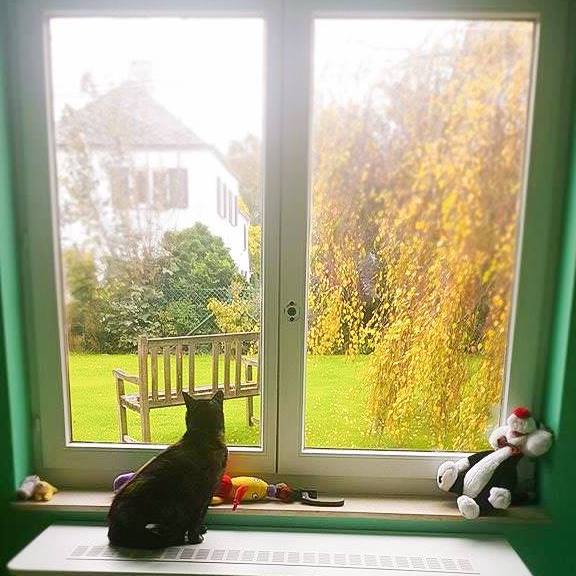 Notre Pension Pour Petits Animaux Site De Autoupoilu