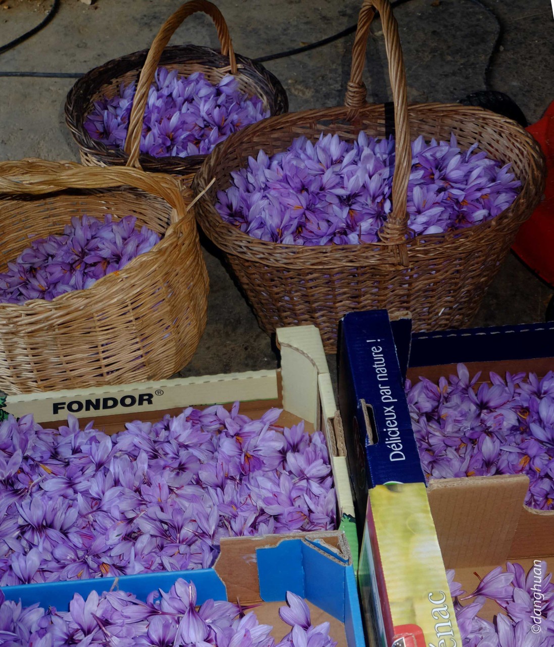 Mille fleurs sont cueillies en 1 H et émondées en 2 H