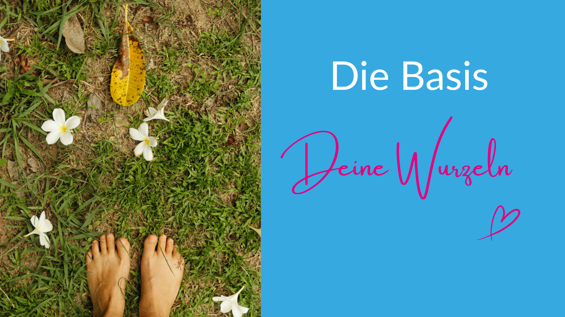 Wenn die Basis fehlt, fehlt alles.