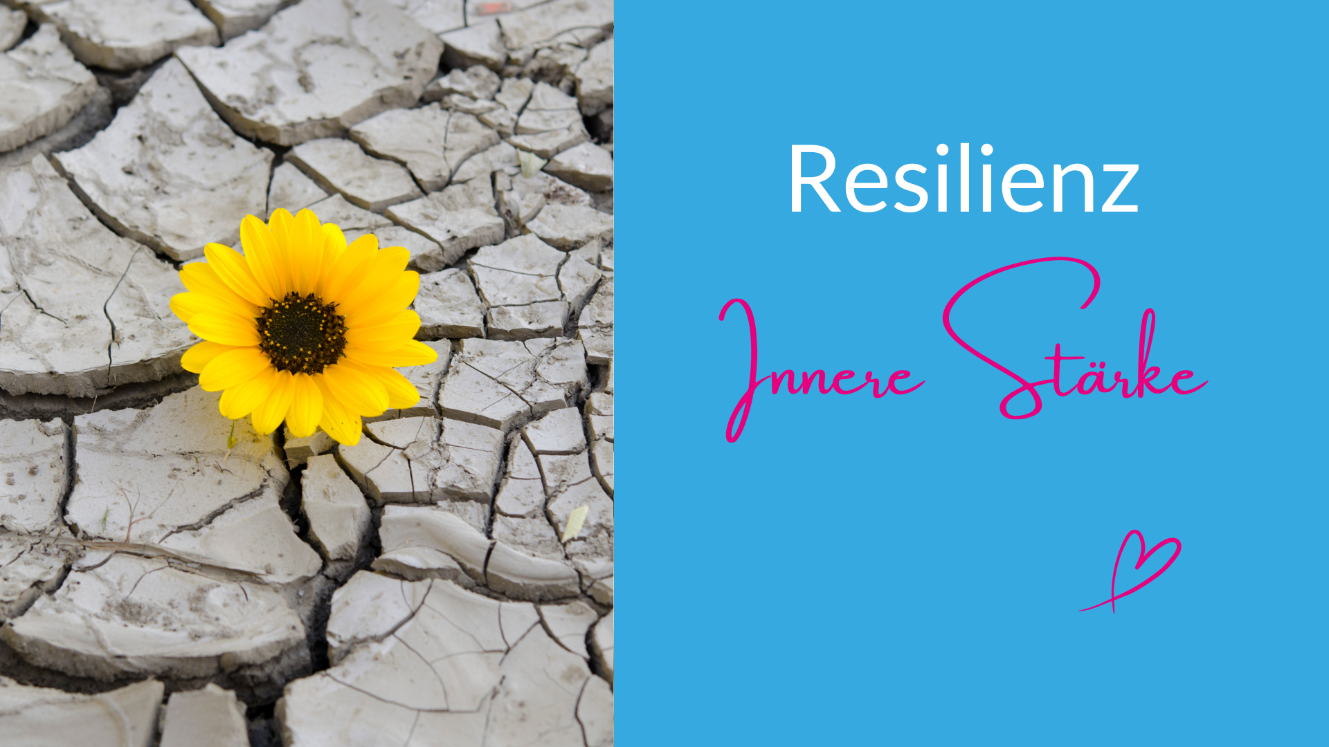 Resilienz - Raus aus der Krise