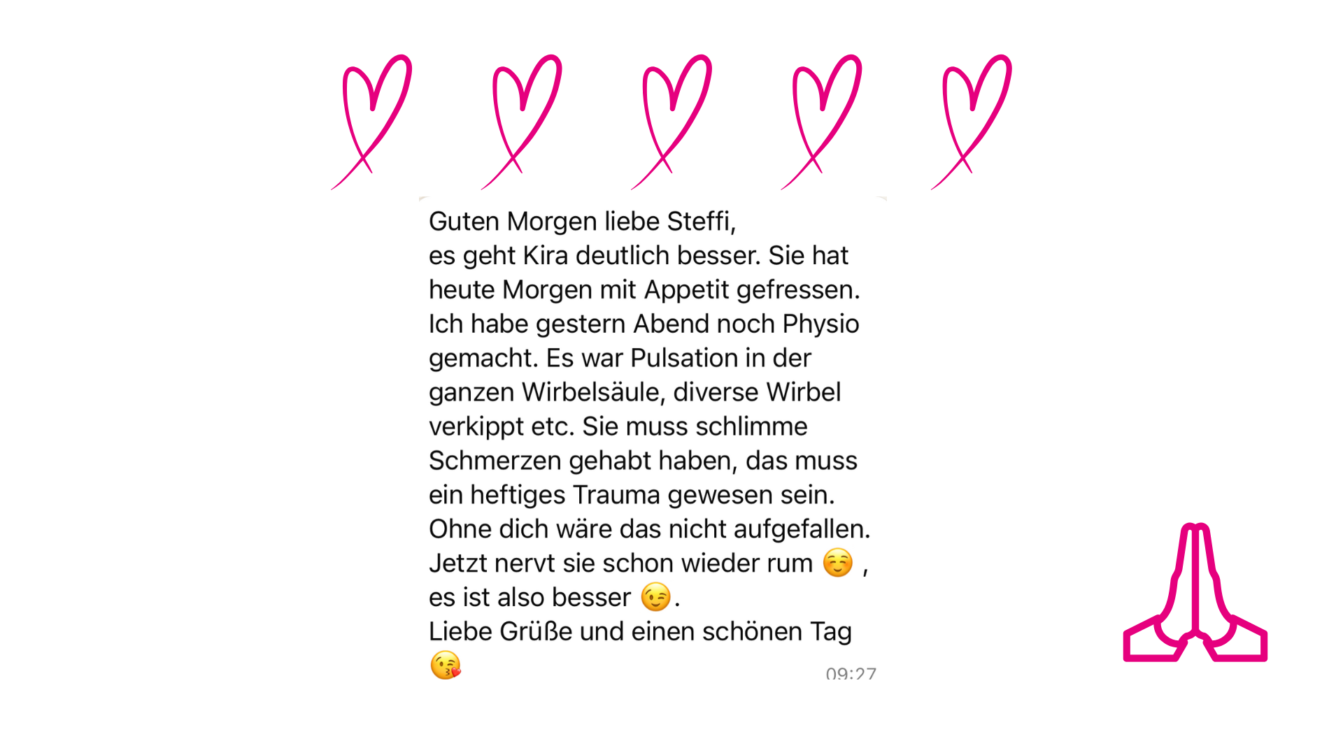 Aurasehen Katze
