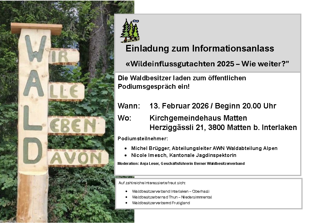 Informationsanlass «Wildeinflussgutachten 2025 – Wie weiter?"