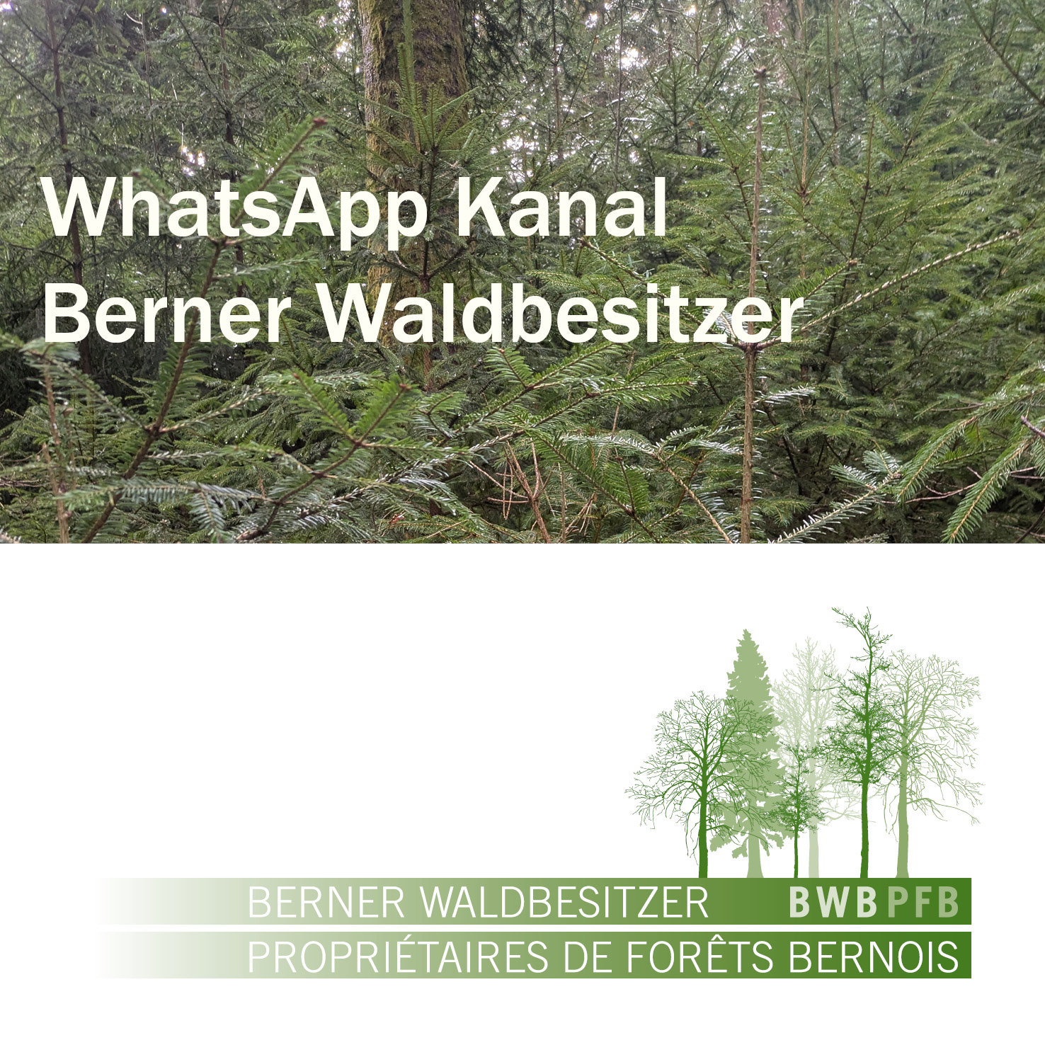 WhatsApp Kanal Berner Waldbesitzer