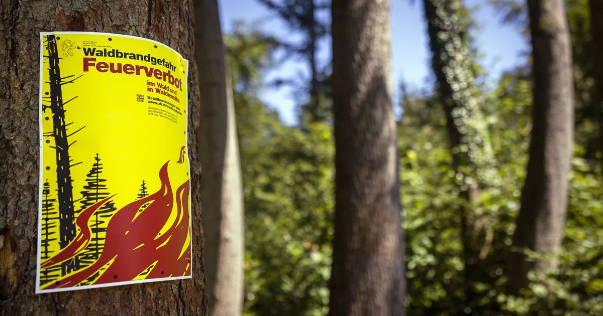 Wichtige Mitteilung: Absolutes Feuerverbot im Wald und in Waldnähe