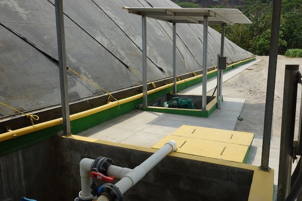 Digester for pig manure -Livestock Manure Swine - biogas