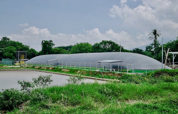 High-efficiency tropicalized anaerobic digester for livestock manure
