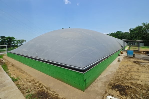 Covered lagoon digester for dairy cattle manure - digester for livestock waste 