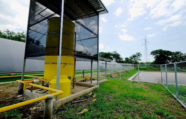 High-efficiency tropicalized anaerobic digester for livestock manure