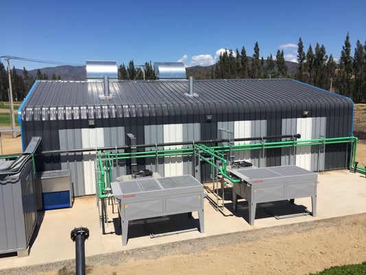CSTR Lagoon digester poultry manure - biogas generator - Aqualimpia Engineering Germany