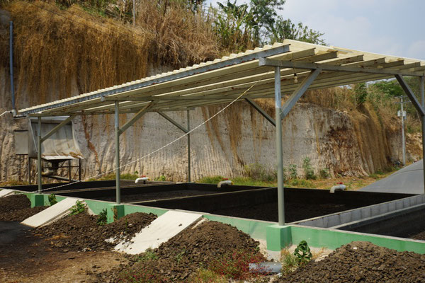 Digester for pig manure -Livestock Manure Swine - biogas