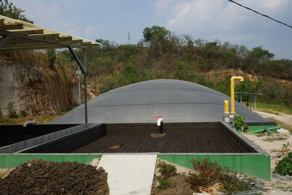 Digester for pig manure -Livestock Manure Swine - biogas