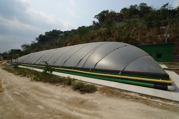 Digester for pig manure -Livestock Manure Swine - biogas