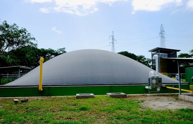 High-efficiency tropicalized anaerobic digester for livestock manure