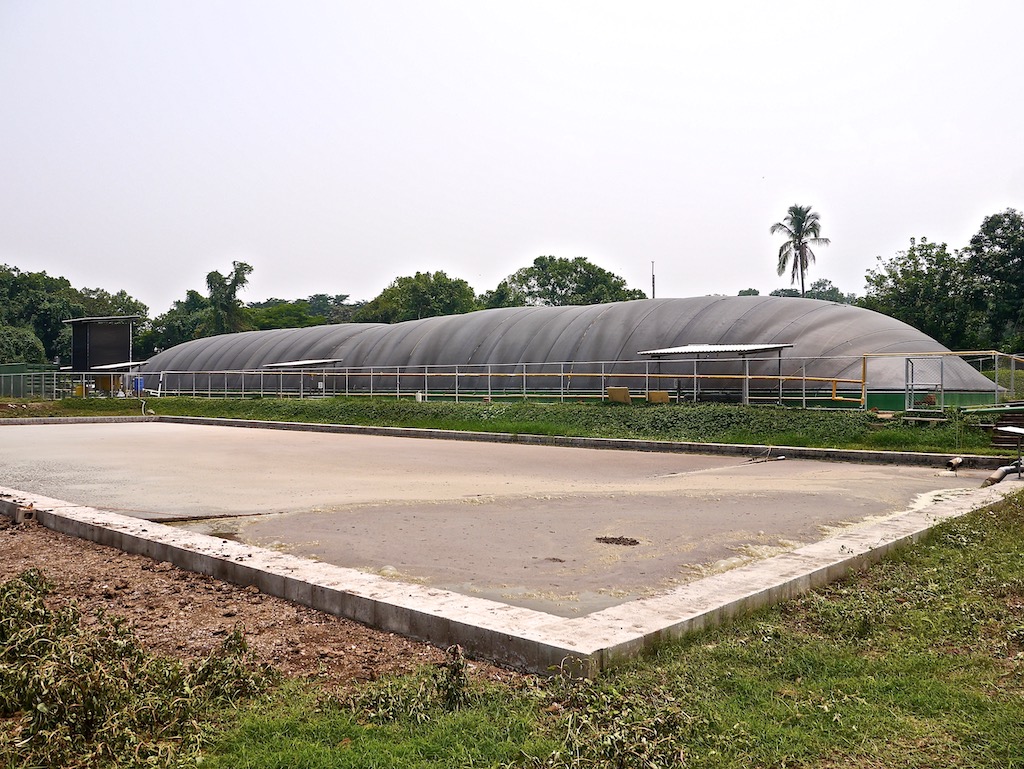 Covered lagoon digester for dairy cattle manure - digester for livestock waste 