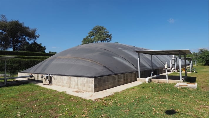 Biogas CSTR Lagoon Digester pig manure, chicken manure, dairy waste
