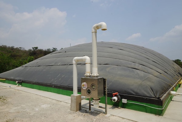 Digester for pig manure -Livestock Manure Swine - biogas