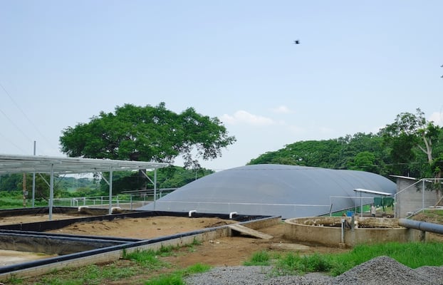 High-efficiency tropicalized anaerobic digester for livestock manure