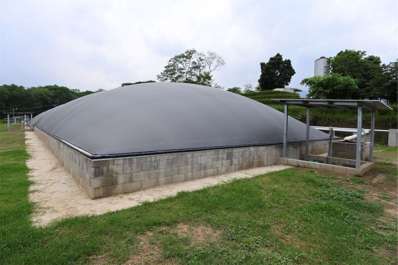 Covered lagoon digester - poultry waste - chicken droppings