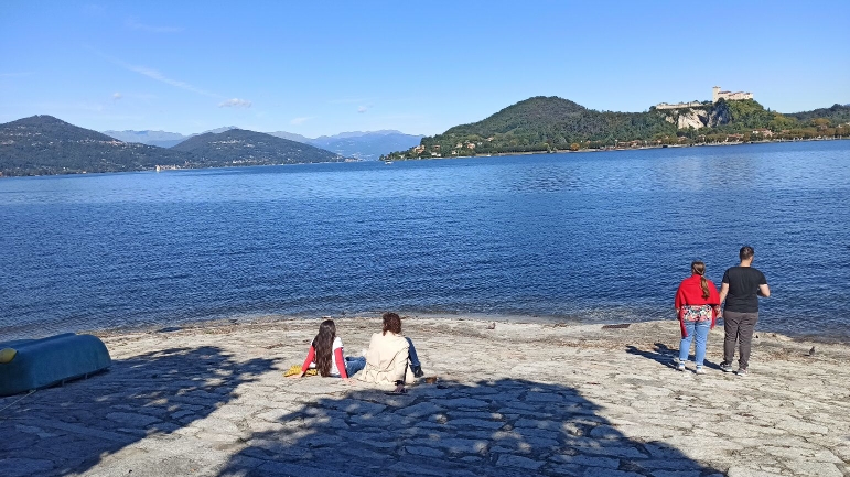 Arona