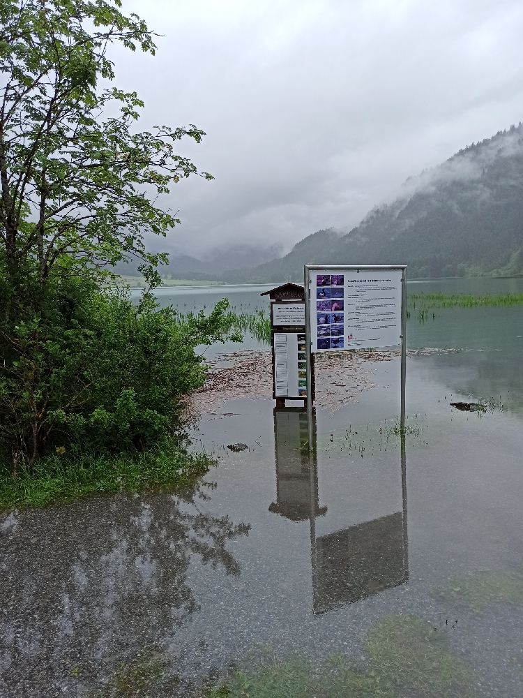 Hoher Wasserstand am Haldensee