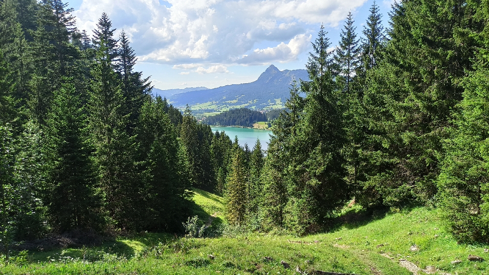 Blick auf den Haldensee hinab