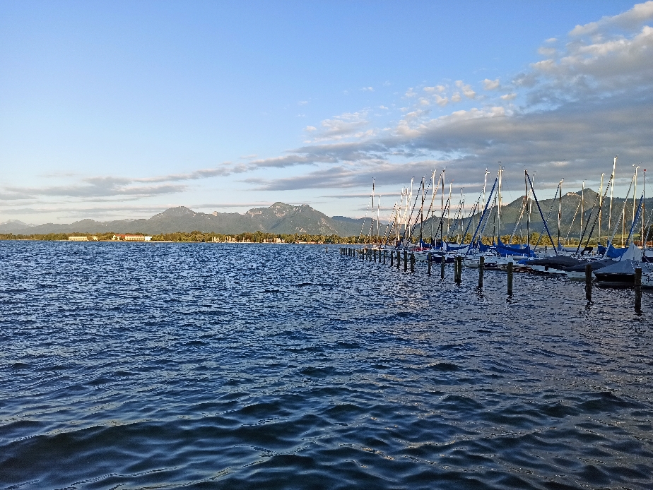 Blick von unserer "Terasse" auf den See 🚣