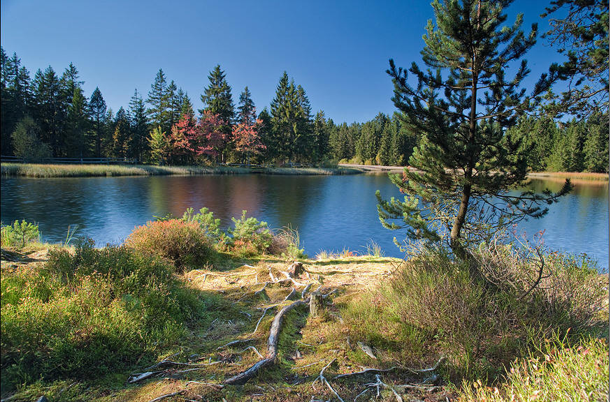 Etang de Bugnon