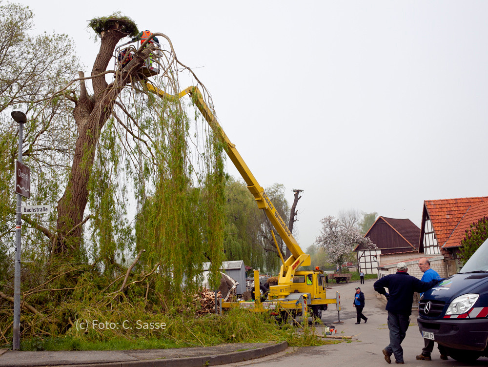 23. April 2014 - Horst 2 auf Weide wird angebracht