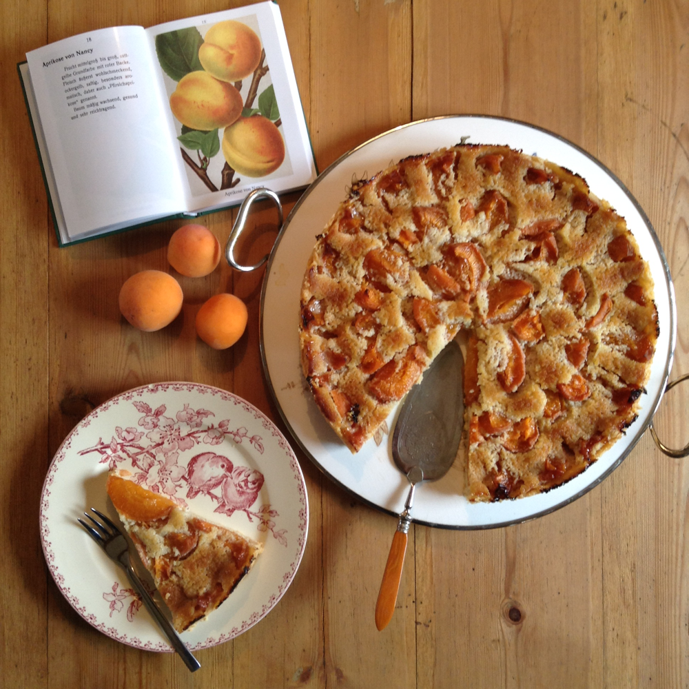 Aprikosentarte mit Frangipane gebacken