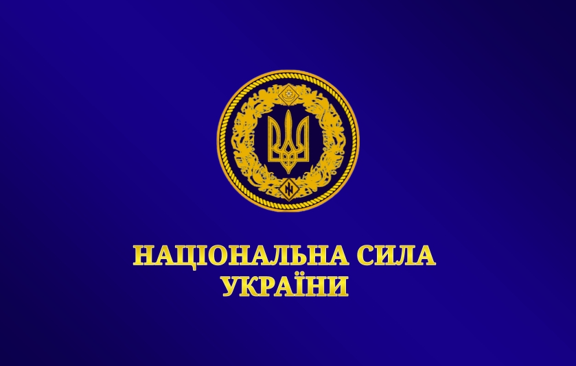 Прапор політичної партії Національна сила України 