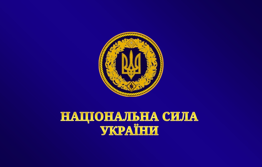 Прапор політичної партії Національна сила України