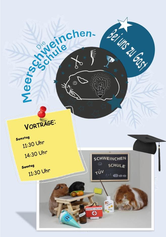 Seminare Die Meerschweinchen Schule gratis in Teutschenthal 