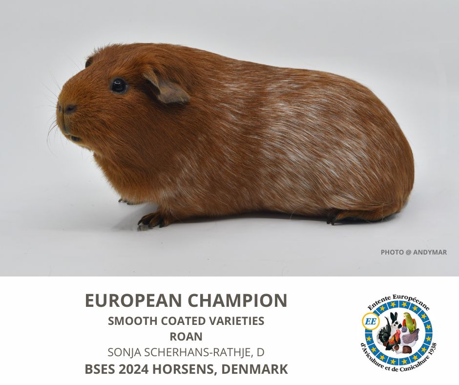 Copyright by Martin Krofta 