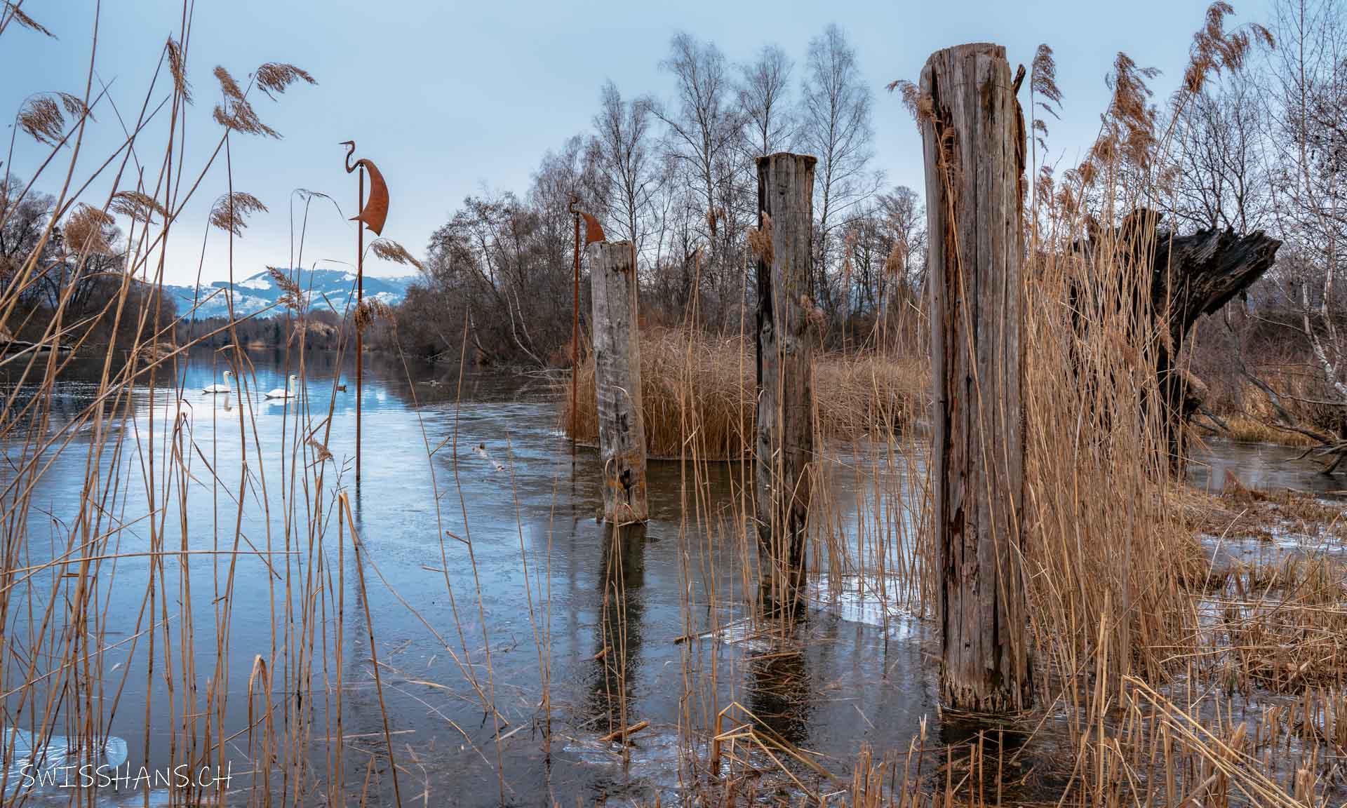 Entspannung am Alten Rhein