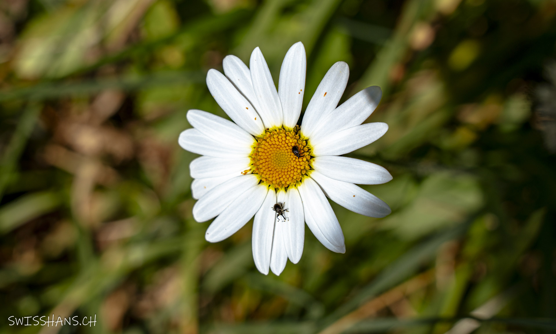 Besuch auf der Margarethe