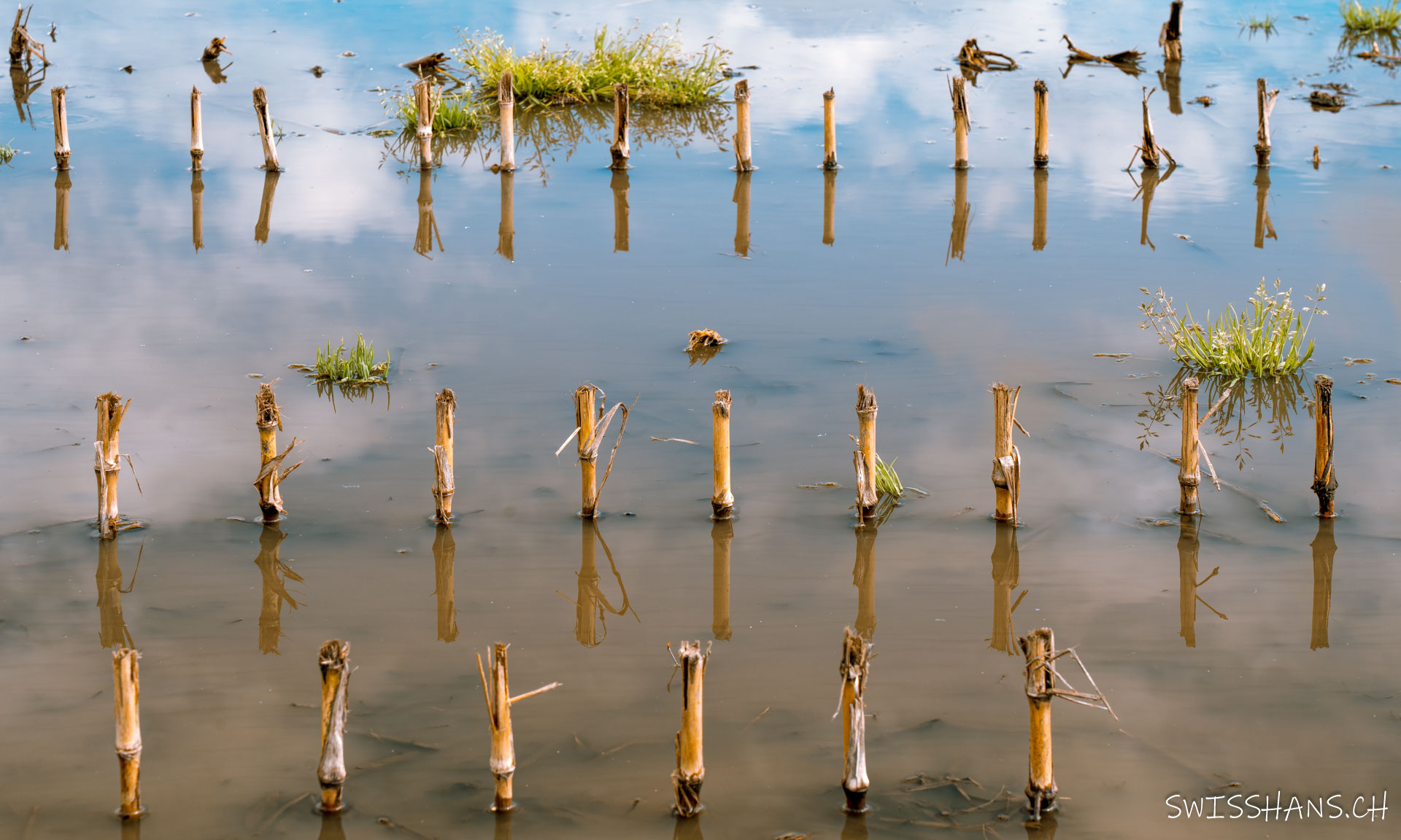 Acker im Spiegelbild
