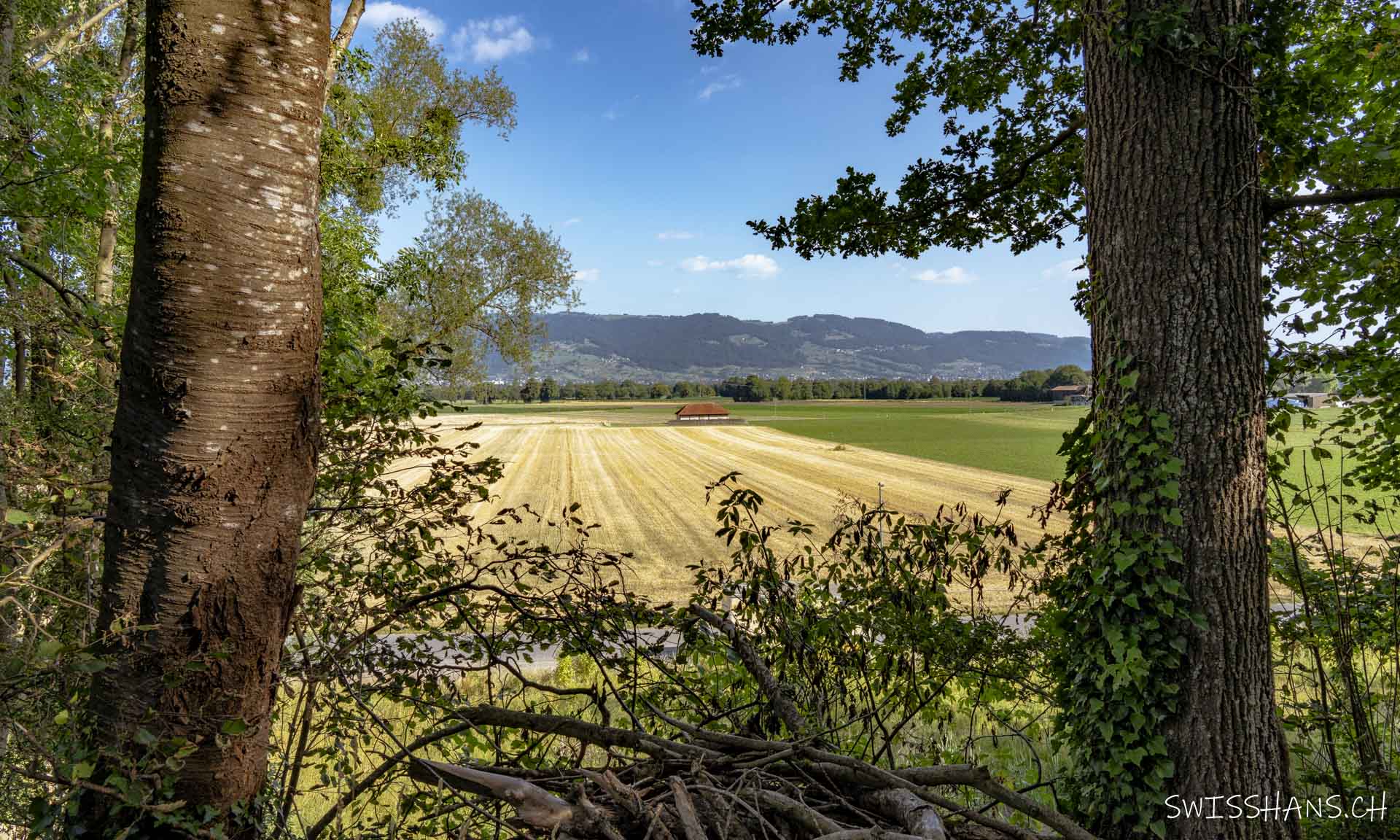 Blick vom Montlinger Bergli
