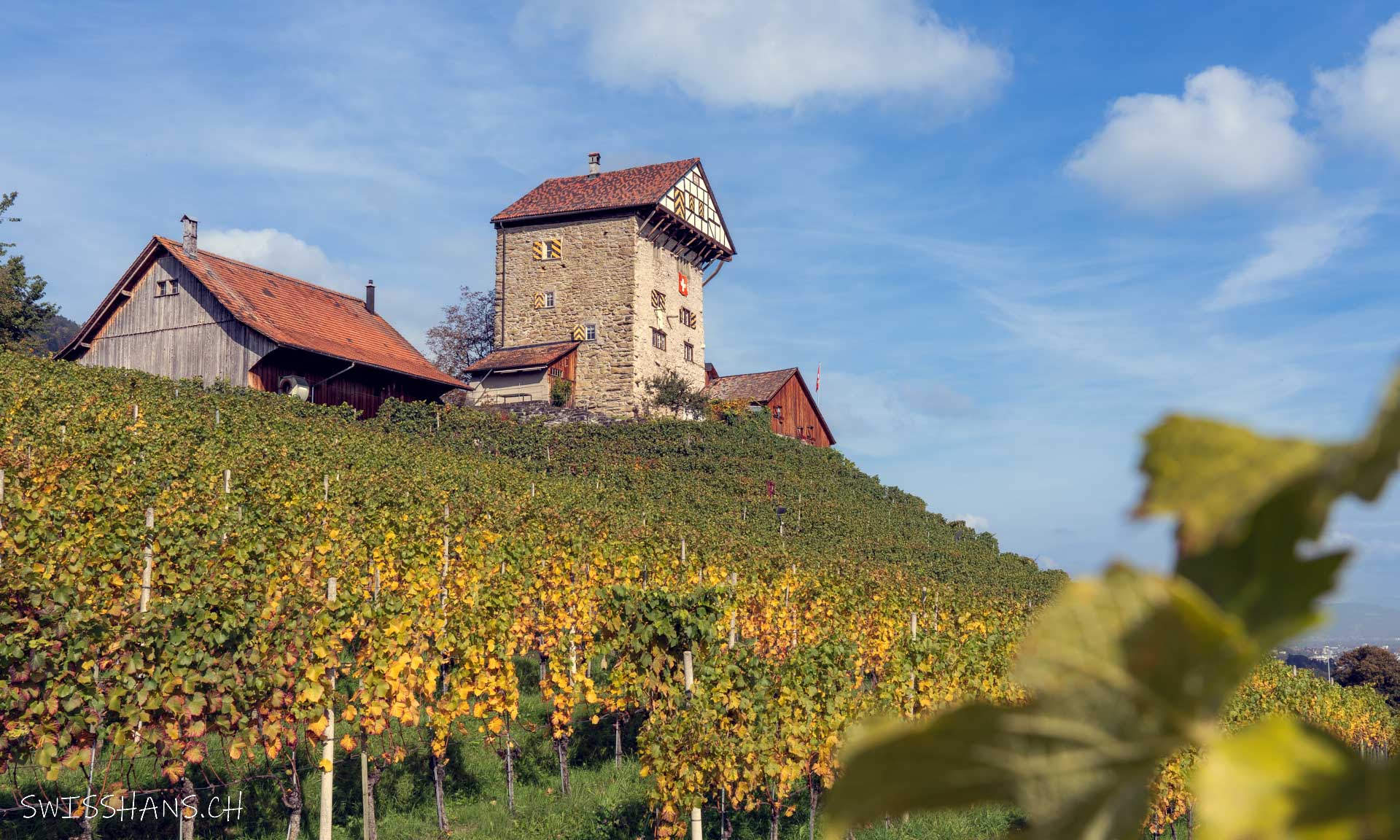 Burg Neu Altstätten